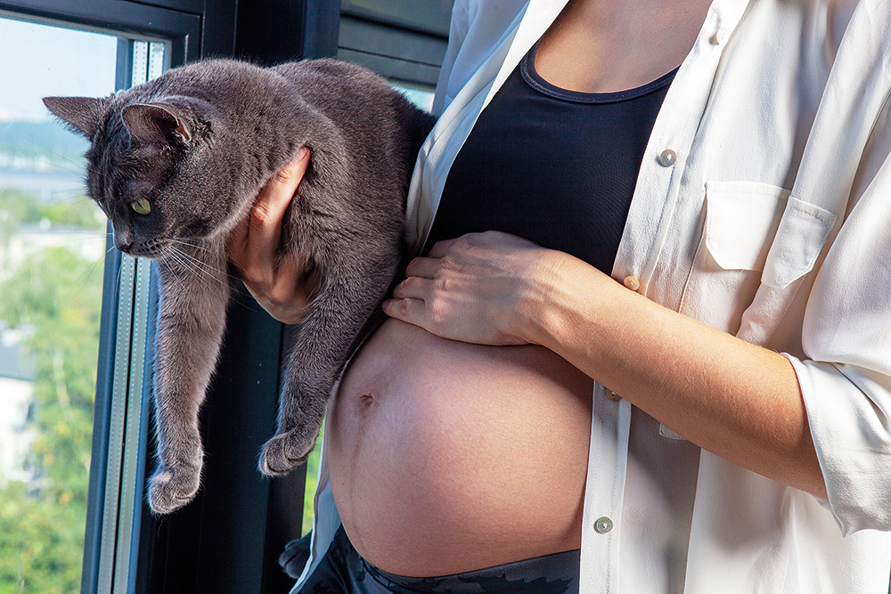 Toxoplasma gondii ir ļoti bīstams grūtniecēm, jo spēj izraisīt augļa attīstības traucējumus.