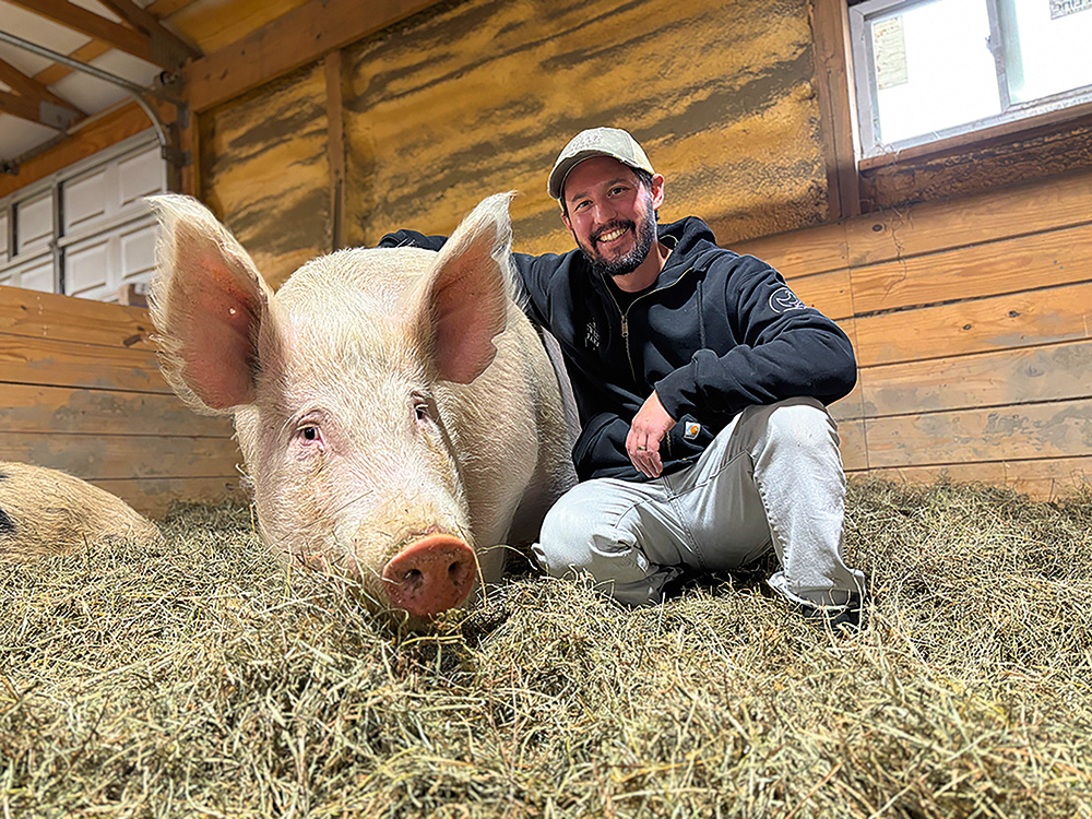 Amerikāņu jaunuzņēmuma Mission Barns cūka Dons, kura audus izmanto mākslīgās gaļas audzēšanai.
