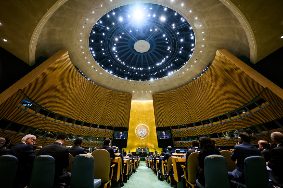 ANO Ģenerālā asambleja.