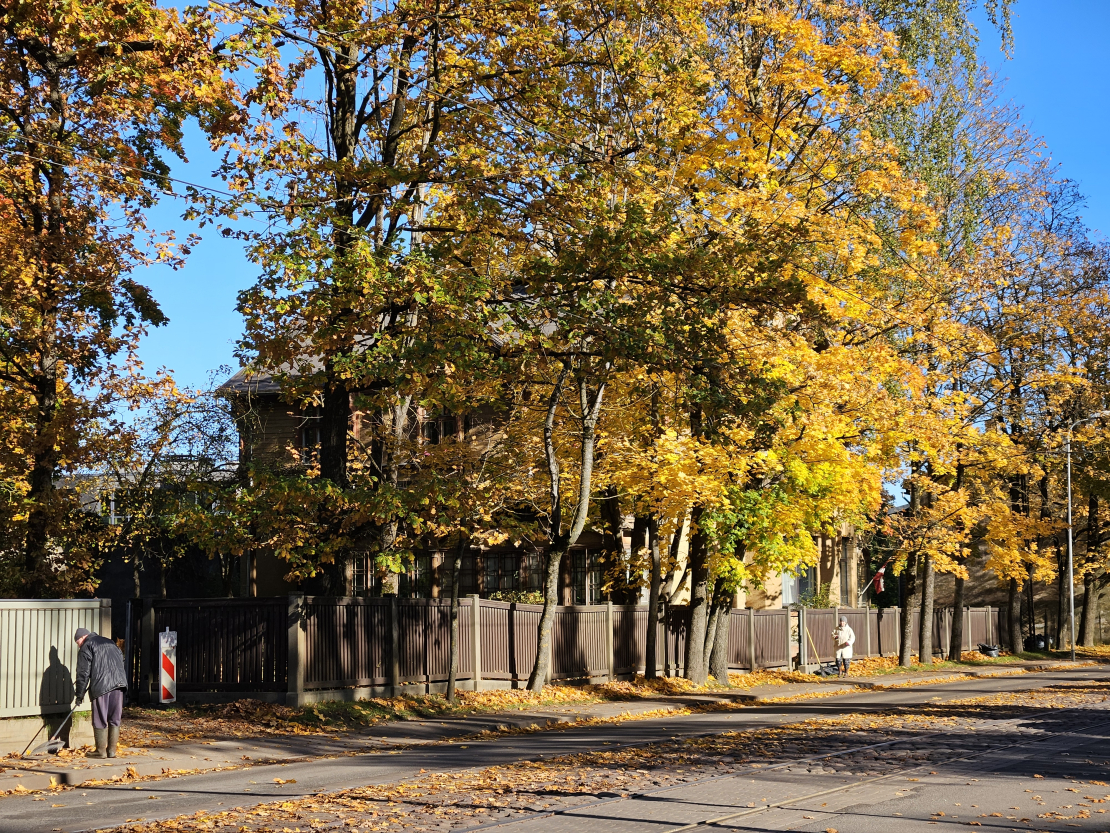Rudens, Ojāra Vācieša iela 5 un 7. Rīga.