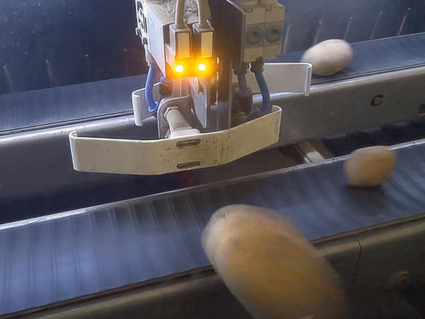 'Smart Grader' optiskais šķirotājs.