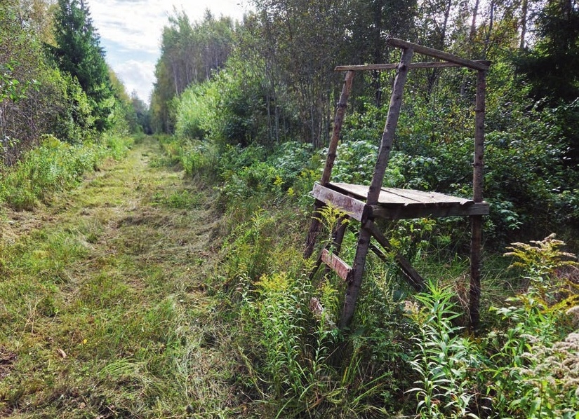 Medībās ar traucēšanu var izmantot arī stāvtornīšus, taču tādā pavadīt vairākas stundas nav ērti. Arī dzīvniekam pamanīt mednieku tajā ir vienkāršāk. Labāka izvēle ir augstāki torņi.