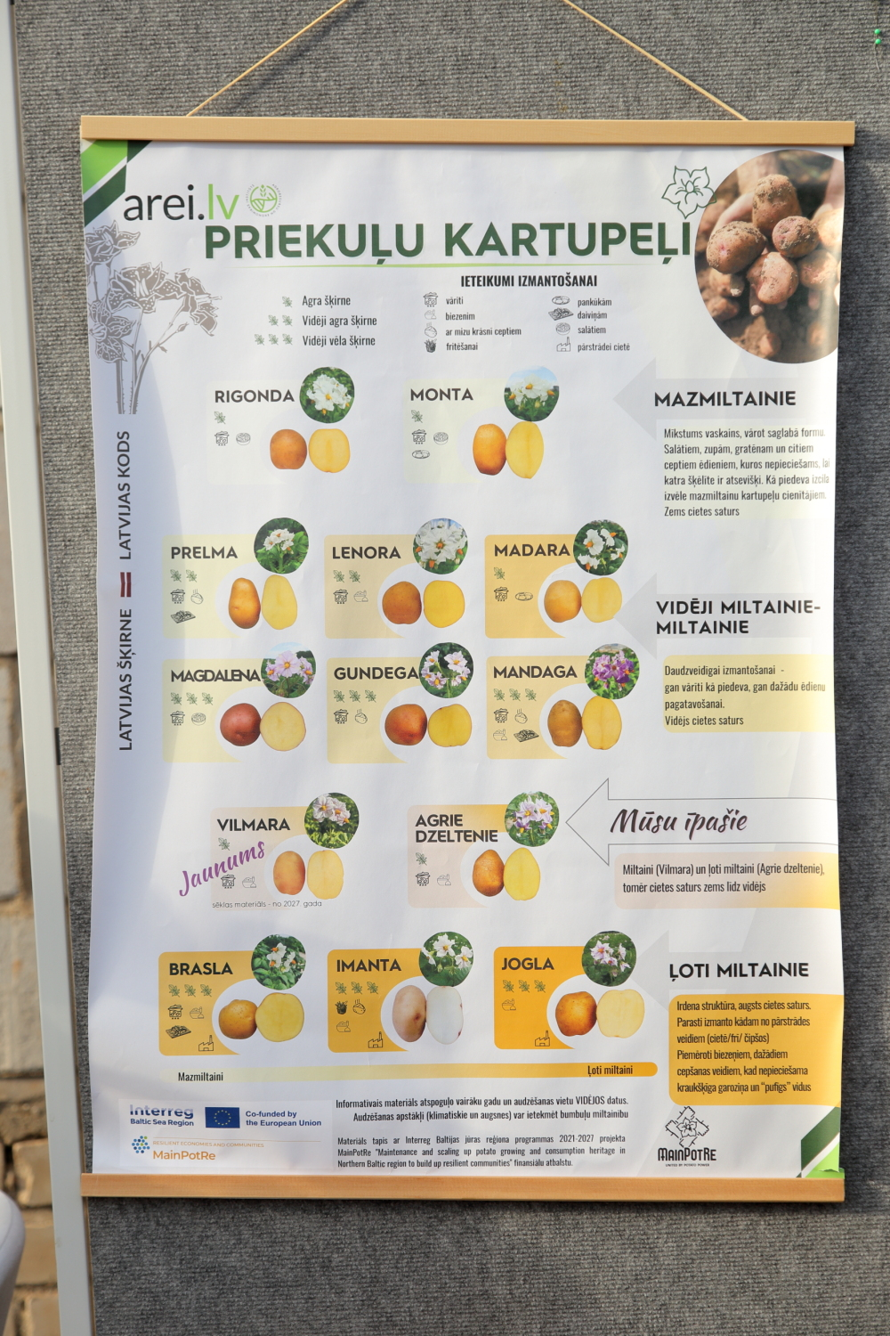 Kartupeļu pagraba svētkos Priekuļos apmeklētāji iepazīst un iegādājas Latvijā izveidotās kartupeļu šķirnes.