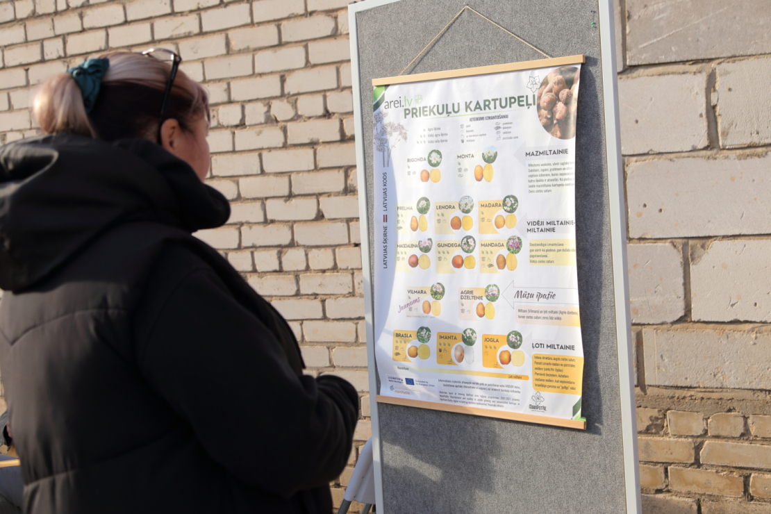 Kartupeļu pagraba svētkos Priekuļos apmeklētāji iepazīst un iegādājas Latvijā izveidotās kartupeļu šķirnes.