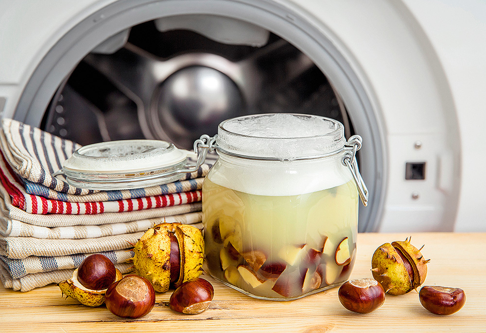 Lai pagatavotu veļas mazgājamo līdzekli, vienai mazgāšanas reizei nepieciešami četri lieli vai seši mazi kastaņi un 300 ml karsta ūdens. 
