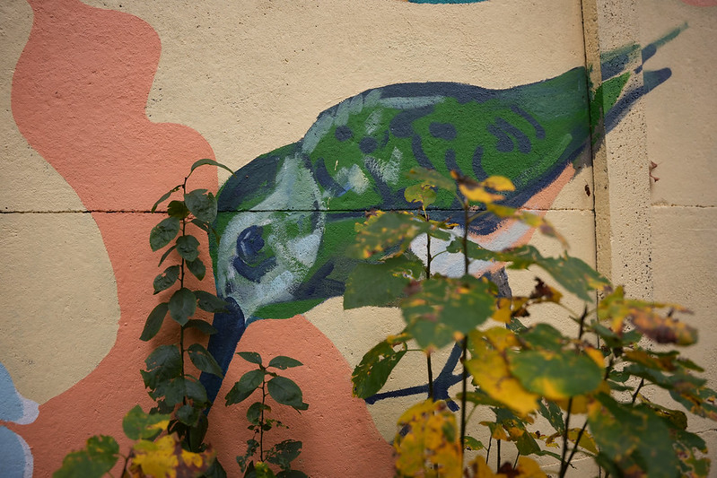 Zasulaukā pie rotaļu laukuma apskatāms Jaņa Rozentāla Mākslas skolas studentu veidotais sienas gleznojums "Putnu dārzs".