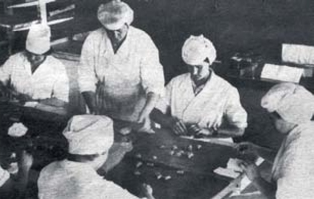"Gotiņu" cehs Skrīveros 1983. gadā.