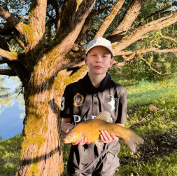 Līnis iekāroja naktstārpu. Līnis iekāroja naktstārpu.