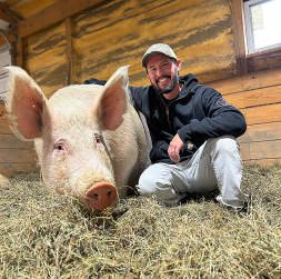 Amerikāņu jaunuzņēmuma Mission Barns cūka Dons, kura audus izmanto mākslīgās gaļas audzēšanai.
