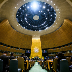 ANO Ģenerālā asambleja.