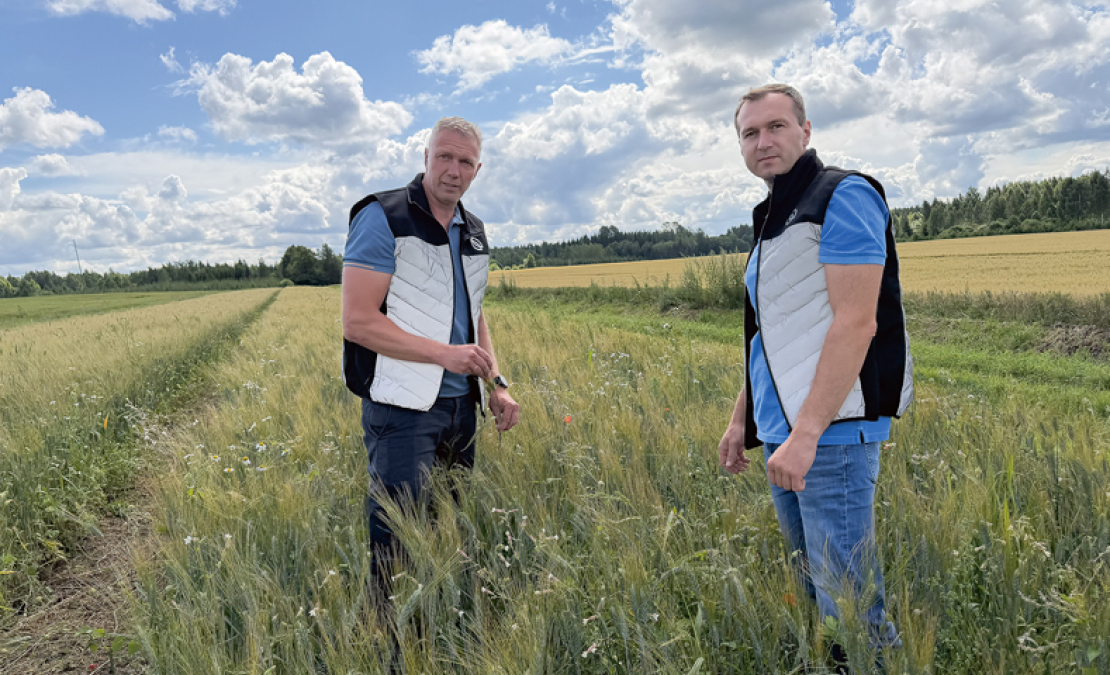 AS "Dobeles dzirnavnieks" agronomi Ģirts Šteinbergs (no kreisās) un Artis Vilbrants jaunās cieto kviešu līnijas laukā vērtē augu veselību.