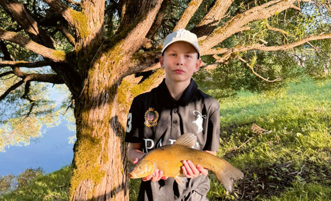 Līnis iekāroja naktstārpu. Līnis iekāroja naktstārpu.
