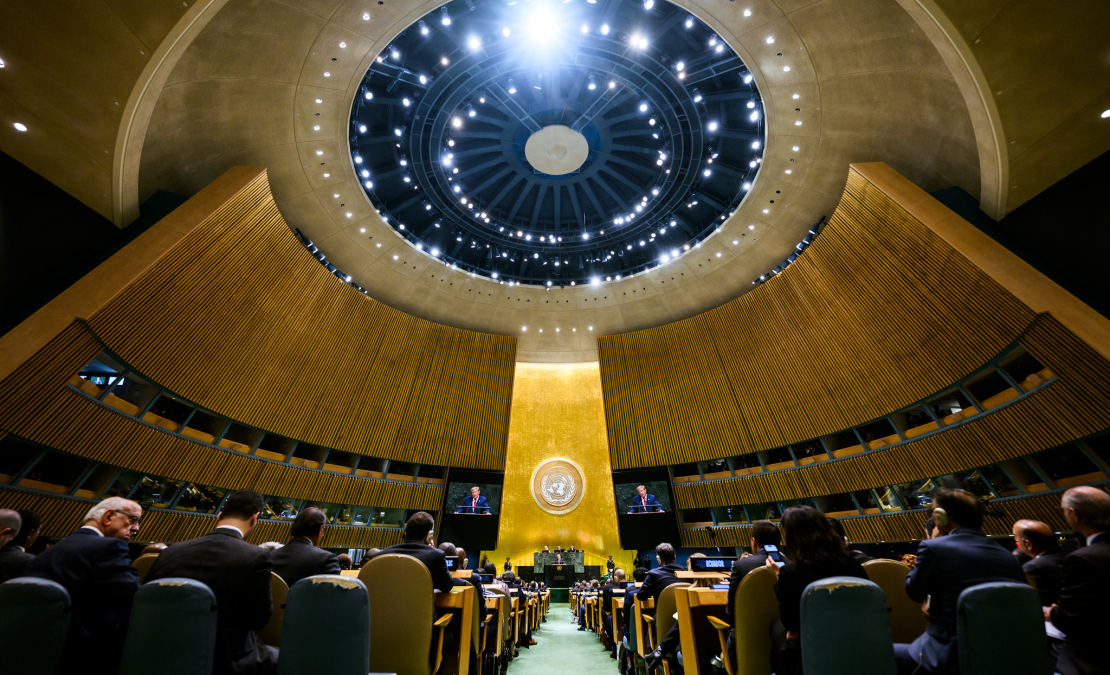 ANO Ģenerālā asambleja.