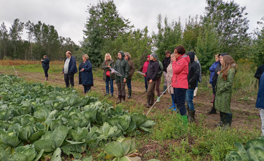 Zīmīgi, ka interesentu vidū Lauka dienā bija ne tikai dārzeņu audzētāji, bet arī vairāku firmu un Latvijas Lauku konsultāciju un izglītības centra pārstāvji. Zīmīgi, ka interesentu vidū Lauka dienā bija ne tikai dārzeņu audzētāji, bet arī vairāku firmu un Latvijas Lauku konsultāciju un izglītības centra pārstāvji.
