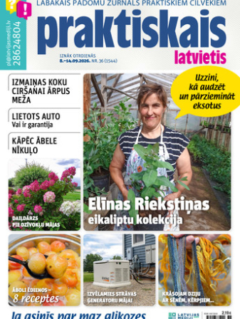 Praktiskais Latvietis