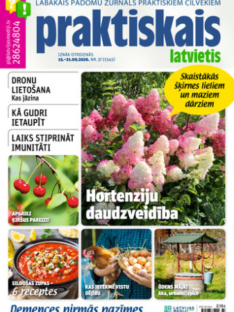 Praktiskais Latvietis