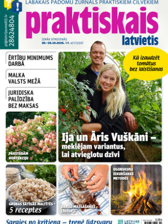 Praktiskais Latvietis