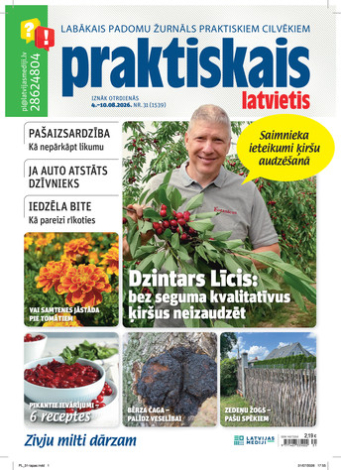 Praktiskais Latvietis