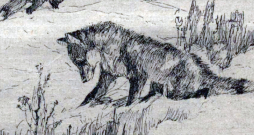 Pēdējā stunda. Ilustrācija izdevumā "Mednieks un Makšķernieks" (1923. gada 1. dec.).