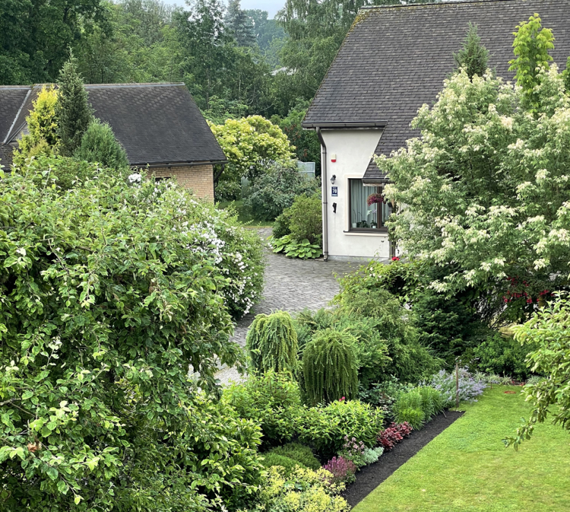 Dārznieces, ainavu tehniķes Avitas Jasliņas dārzs Rīgā.