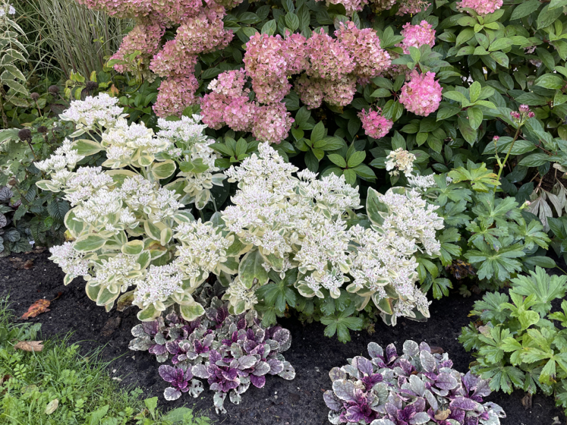 Avitas Jasliņas dārzs pavasarī.