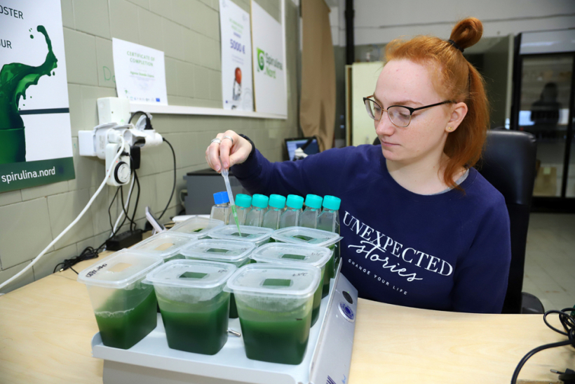 Jaunā pētniece, ķīmijas tehnoloģe Megija Berele pie trauciņiem, kuros izmēģina audzēt spirulīnu dažādos apstākļos.