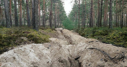 Ļaundari mežā bija rakuši, atstājuši pusizraktu kabeļu atliekas, rakumu apkārtnē bija bojāta zemsedze. Foto: "Rīgas Meži"