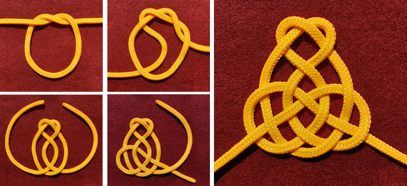 Papardes zieda mezgls.