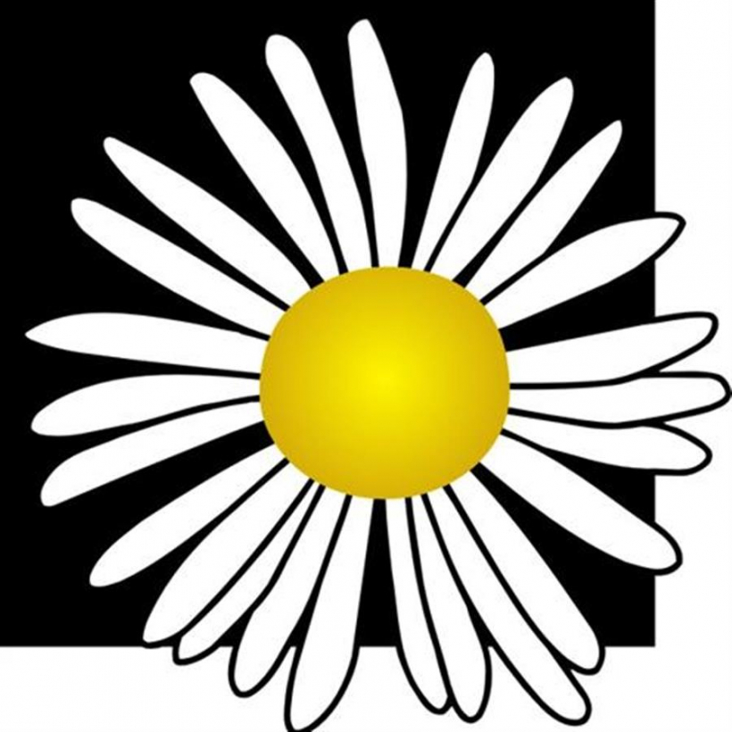 Konsultē florista amata meistare Ligita Danenberga (floristikas skola–meistardarbnīca “Grieta”)