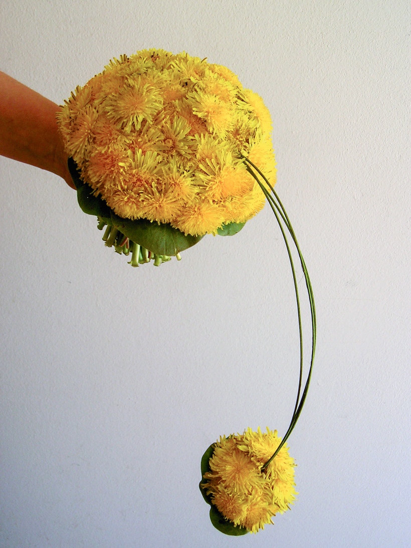 Pieneņu priecīgais.