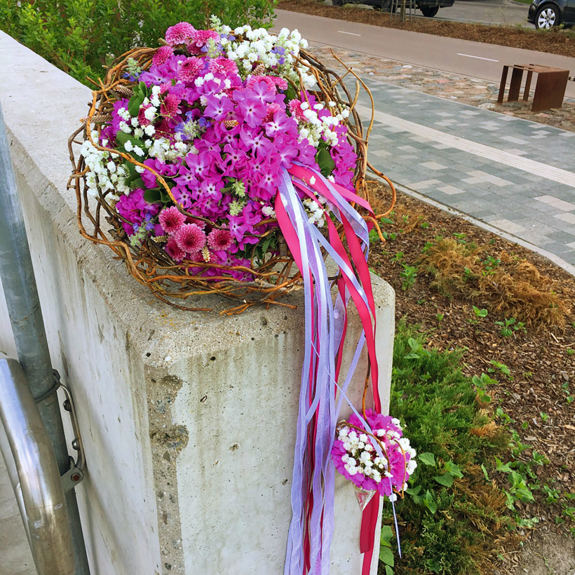 Violeti sapņainais.