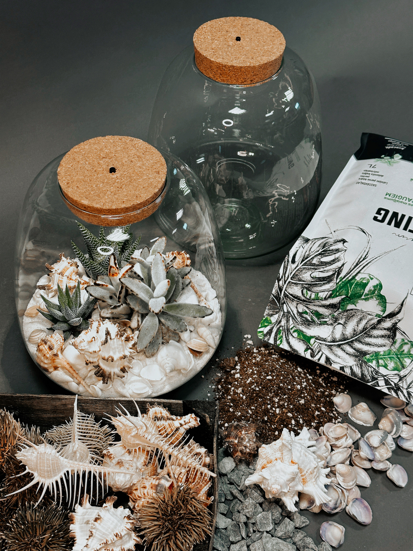 Mainot dekorus florārijā, mainās arī noskaņa. Piemēram, ja ziemas noskaņu radīs stikla bumba un diožu lampiņu virtene, tad pavasarim piestāvēs kāda putna spalviņas.