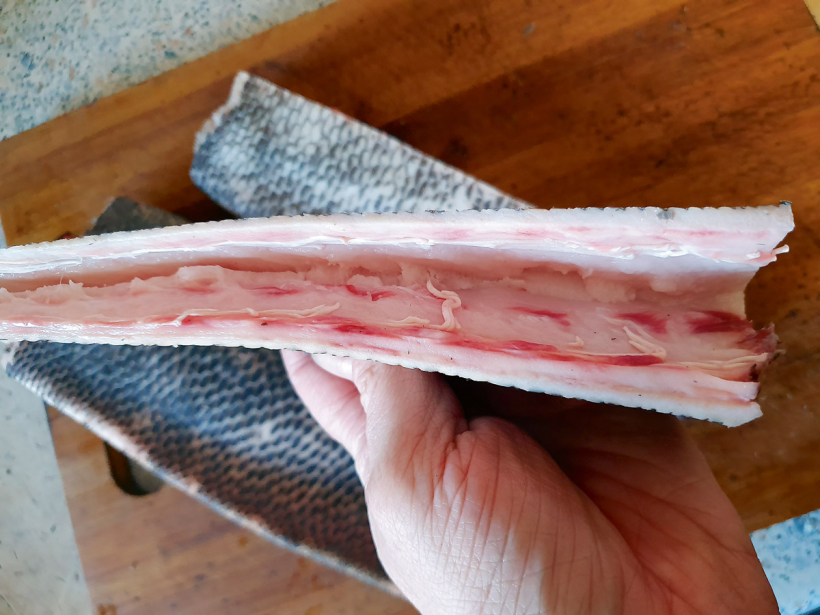 Bebra astei izņem kaulu. Sanāk divas vienādas pusītes.