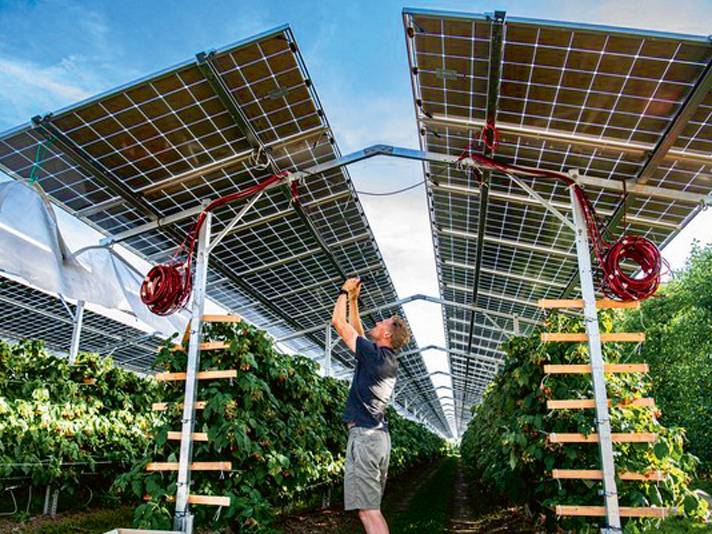 Mērķis ir ne tikai ražot elektroenerģiju, bet arī nodrošināt apstākļus kultūraugu audzēšanai.