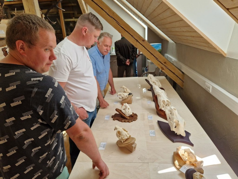 Aizkraukles novada medību trofeju izstādē.