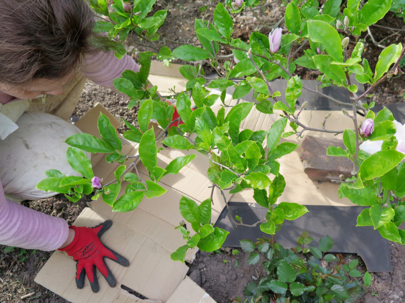 Mitruma saglabāšanai uzklātaj kartonu.