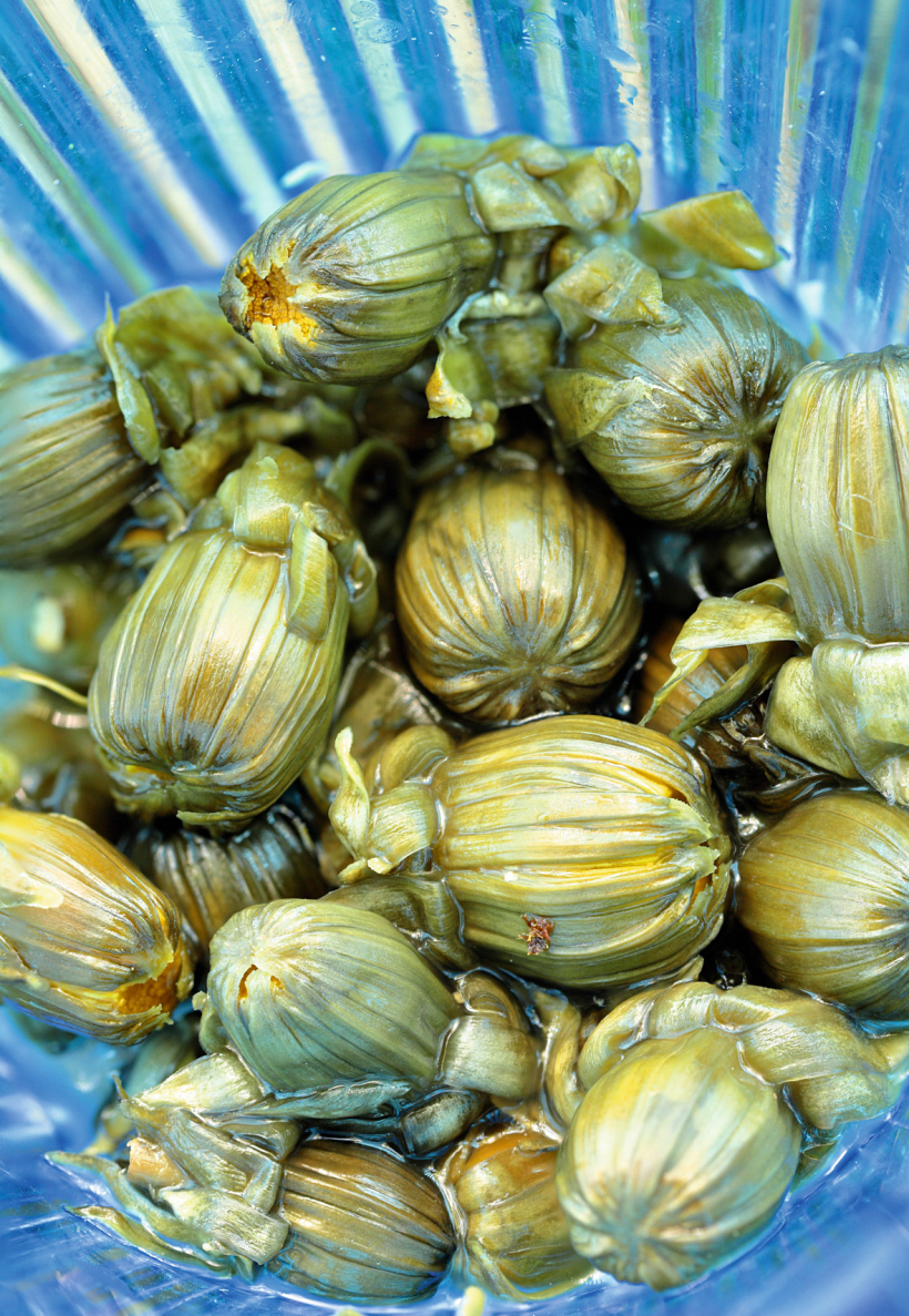 Pieneņu pumpuru kaperi.