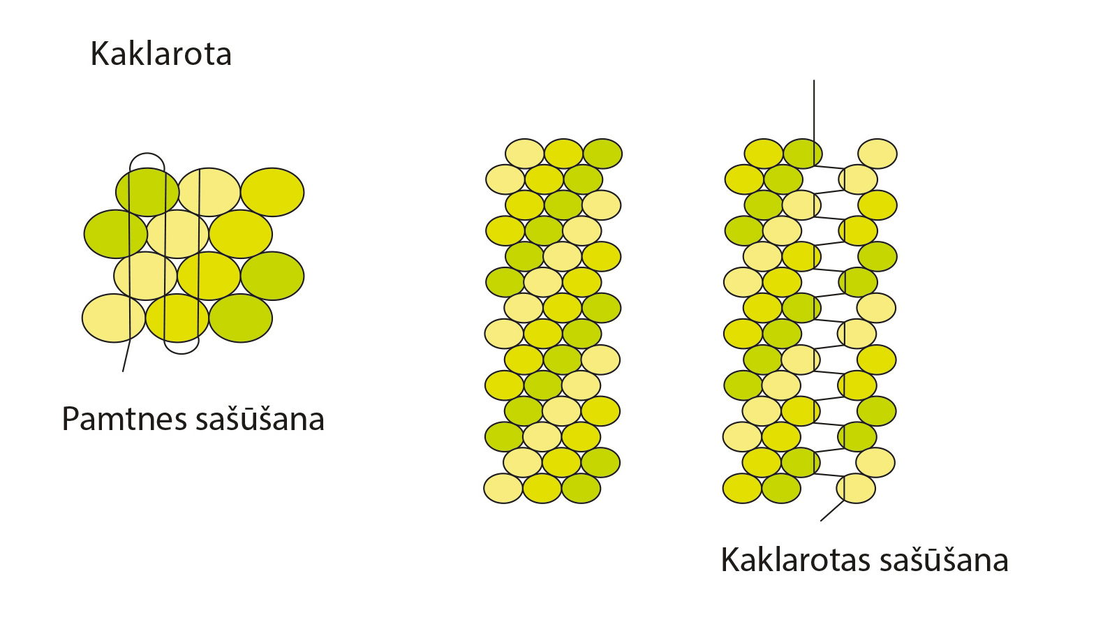 Kaklarotas shēma.