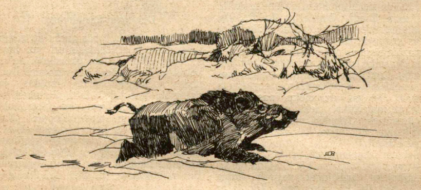 Ilustrācija izdevumā "Mednieks un Makšķernieks" (01.02.1930.).