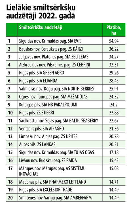Lielākie smiltsērkšķu audzētāji.