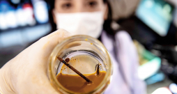 Čīles biotehnologs Nadaks Realess rāda naglu un skrūvi burkā ar metālēdāju baktērijām. 