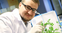 Zigmunds Orlovskis ar lucernai līdzīgo augu, kas tiek audzēts, lai izpētītu pazemes sēņu "internetu".