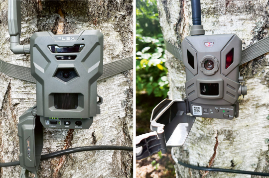 Meža kameras – Spypoint Flex un Niteforce.