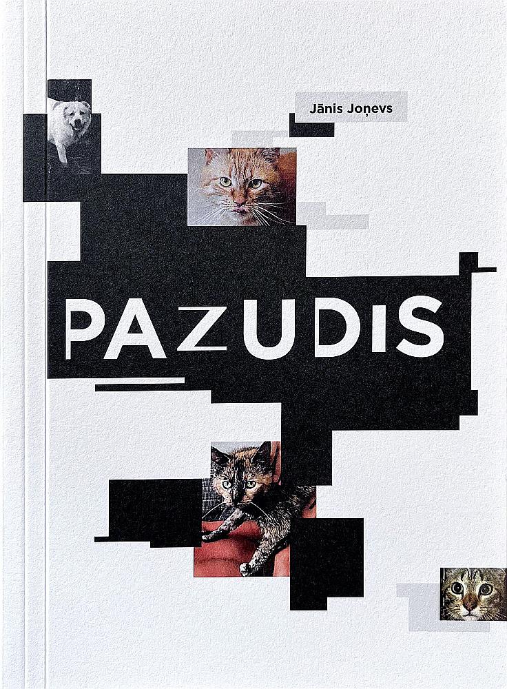 Jānis Joņevs, "Pazudis". 