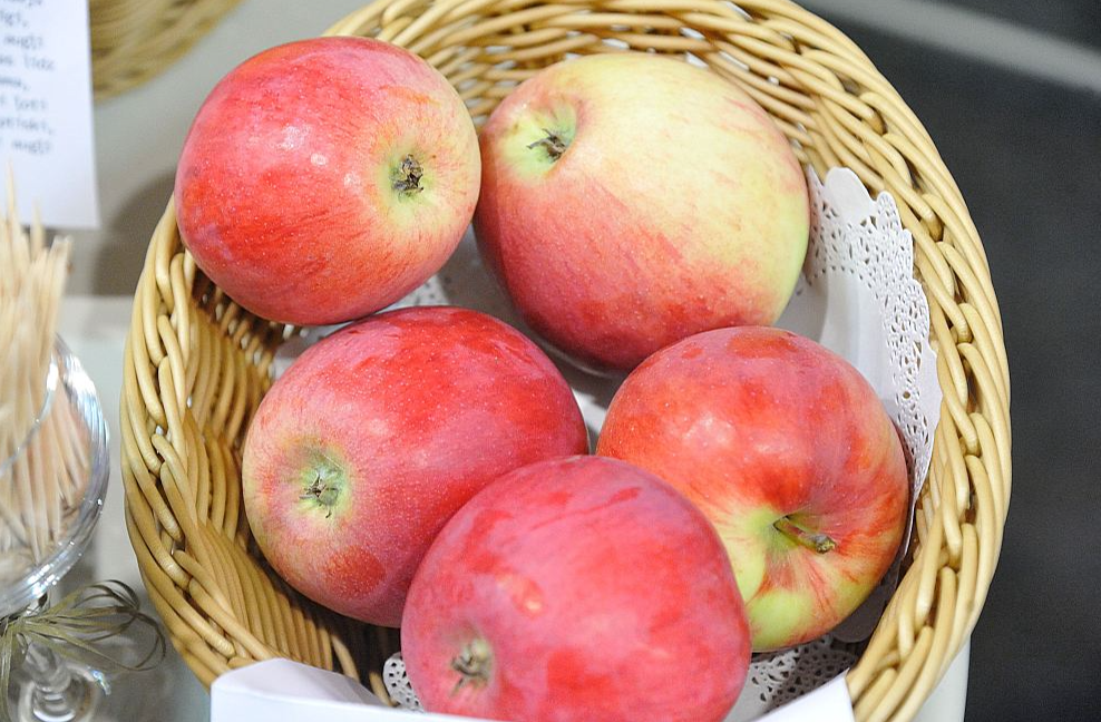 Dobeles Dārzkopības institūts radījis jaunu ābolu šķirni "Asnate", kas īpaši piemērota mazdārziņiem.