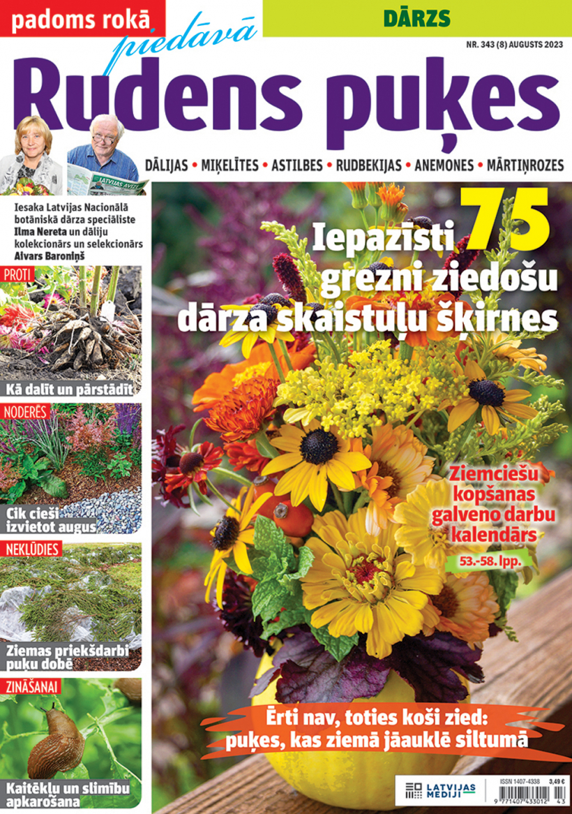 Sadarbībā ar "Padoms Rokā".