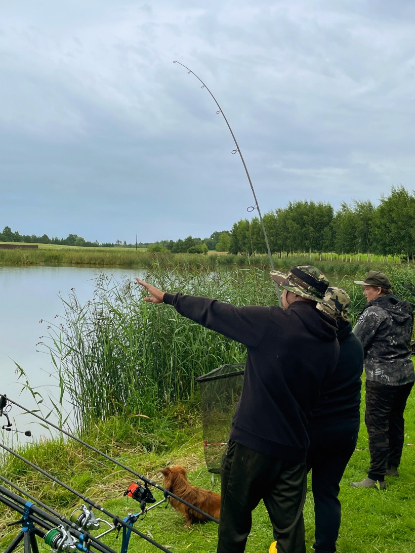 Galvenais, visu bez steigas.