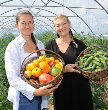Zemnieku saimniecības "Zutiņi" saimnieces māsas Santa Meļķe (pa kreisi) un Rūta Beirote kopā ar vecākiem ir izveidojušas daudznozaru lauksaimnieciskās uzņēmējdarbības modeli, kurā cita starpā svarīgs ir gan tiešais, gan arī attālinātais kontakts ar pircējiem.