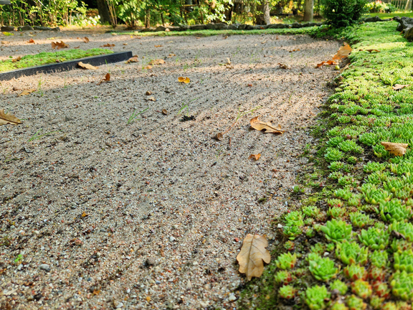 Smilšu kopšana ir pavisam vienkārša. Tās nogrābj ar vieglu plastmasas grābekli.