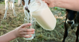 Piena produktu grupā, salīdzinot ar pagājušā gada septembri, kopumā vērojams cenu kritums pilnībā visām precēm 8–39% ietvaros.